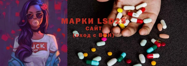 ECSTASY Медвежьегорск